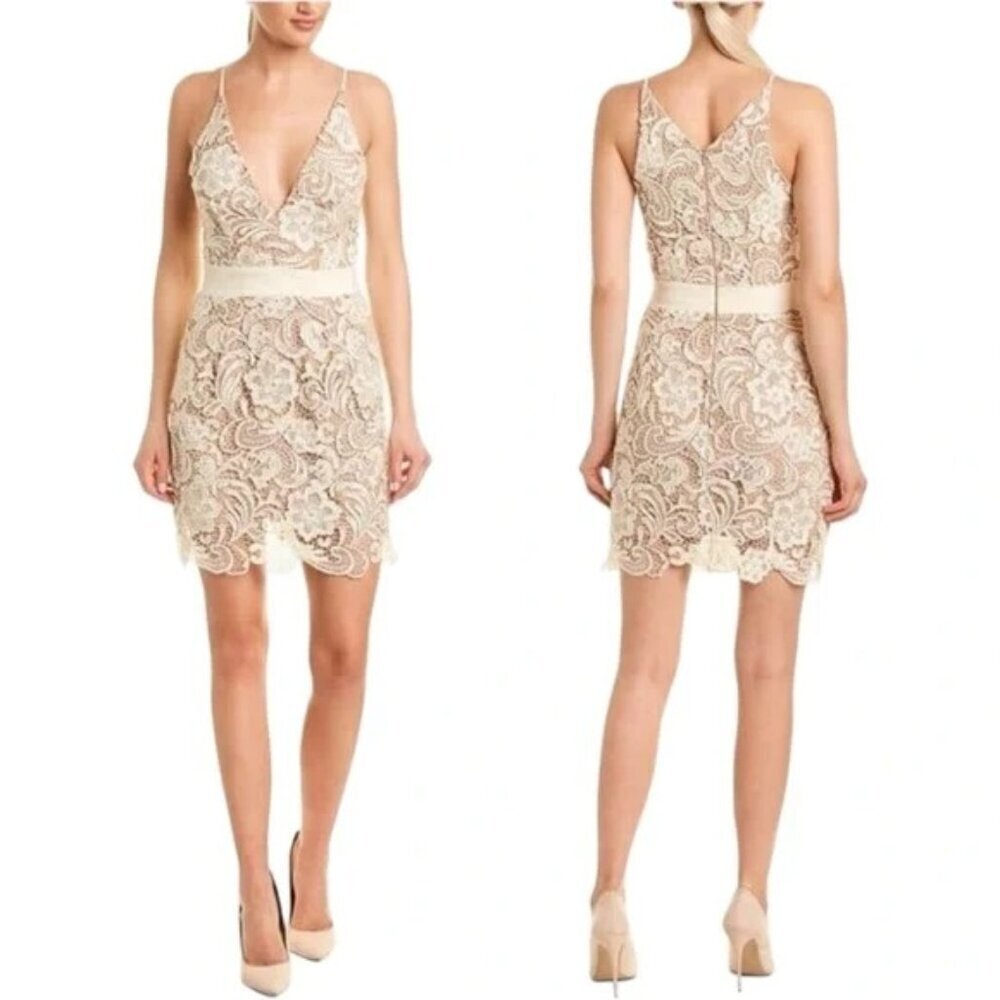 NWT Dress the Population Ava Nude Lace Dress $208 - Picture 2 of 15